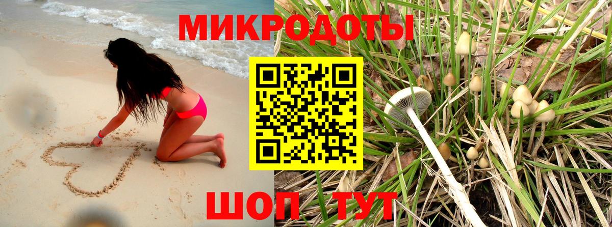 Галлюциногенные грибы Magic Shrooms Сургут