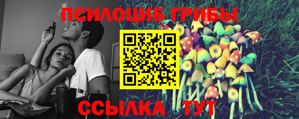 Сургут  Галлюциногенные грибы Psilocybine cubensis  Вход с VPN 